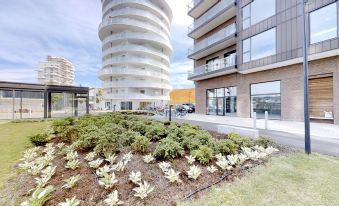 The Beach Apartments Image