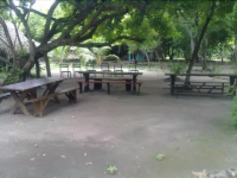 Eco Hotel Las Palmeras