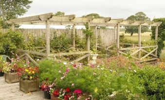 a garden with a wooden pergola surrounded by various plants and flowers , creating a picturesque setting at Northumberland Cottage
