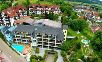 Vital- Und Wellnesshotel Albblick