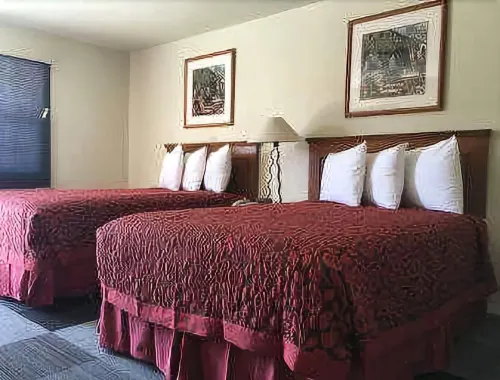 ทราเวลโลดจ์ โดย ไวแนดัม แกลลัป