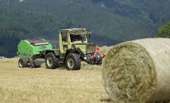 Wimmerhof Inzell