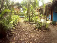 Hostal Rosa Mistica Hotels in 