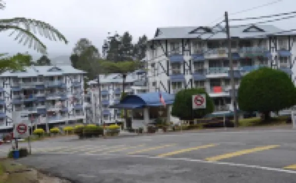 雛菊@德薩紅掌花