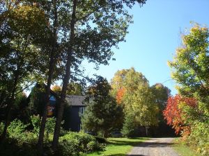 Chickadee Lodge