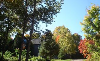 Chickadee Lodge