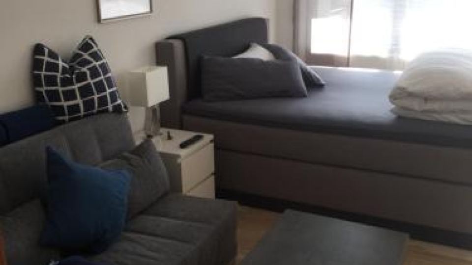 Apartment Goethe