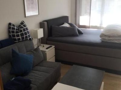 Apartment Goethe