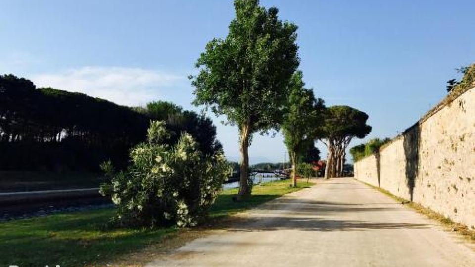 Proprietà Scalfati