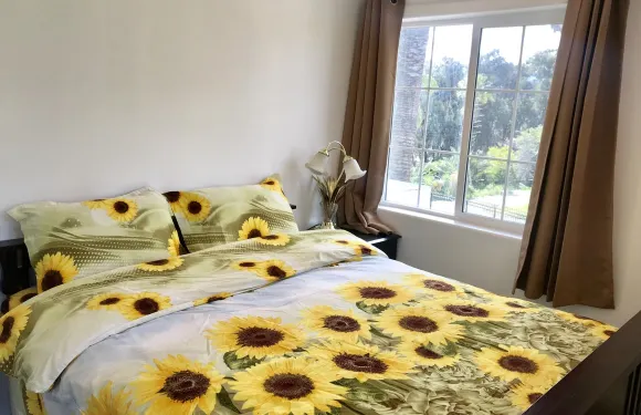 corona sweet modern house 温馨家園