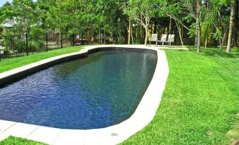 a large , curved swimming pool is surrounded by green grass and trees , with two lounge chairs placed near the edge of the pool at Emeraldene Inn & Eco-Lodge