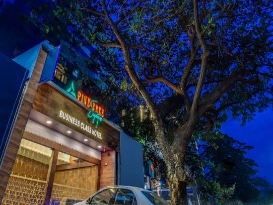 Capital O 42226 Pine Tree Signature Chennai Updated 2021 Price Reviews Trip Com