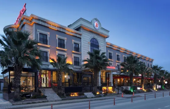 新巴爾圖克酒店伊茲密特