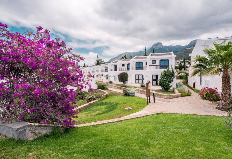 The Olive Tree Hotel - Housity