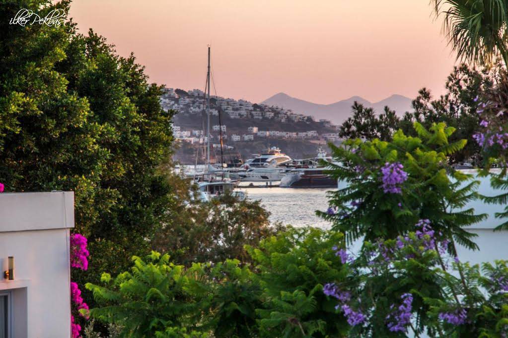 Yalıpark Beach Hotel