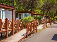 Cecina Mare Hotels in Cecina