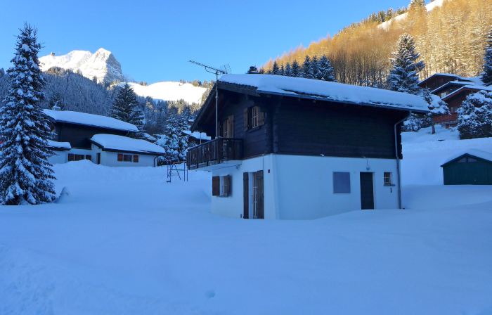 Chalet Castor