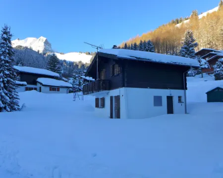 Chalet Castor Hotels in Gruyeres