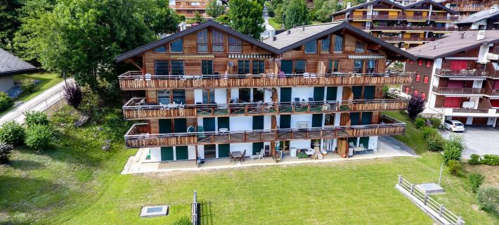 Seya 19 Hotels in Leytron