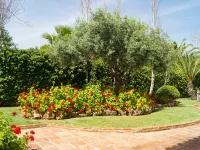 Mijas Beach - 3 stjerner