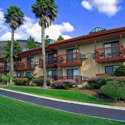 Inn at the Cove Hotel Exterior