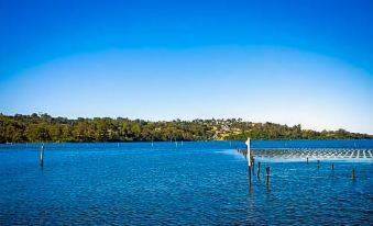 a serene lake with clear blue water , surrounded by trees and mountains , and a wooden post in the foreground at Top of the Lake Holiday Units