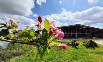 Ferienwohnungen Sund Ostfriesland