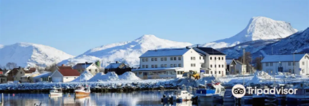 라이사피요르드 호텔  호텔