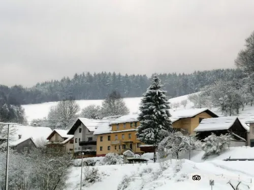 Hotel Gasthof Zur Krone Hotels in Finkenbach