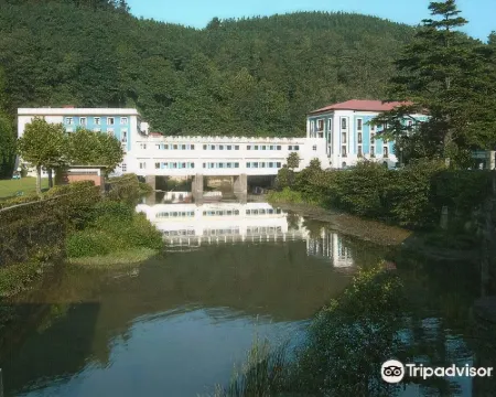 Balneario de Cestona Hoteles en Cestona