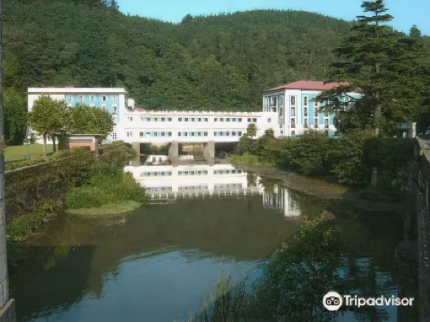 塞斯托納Spa飯店 住宿飯店