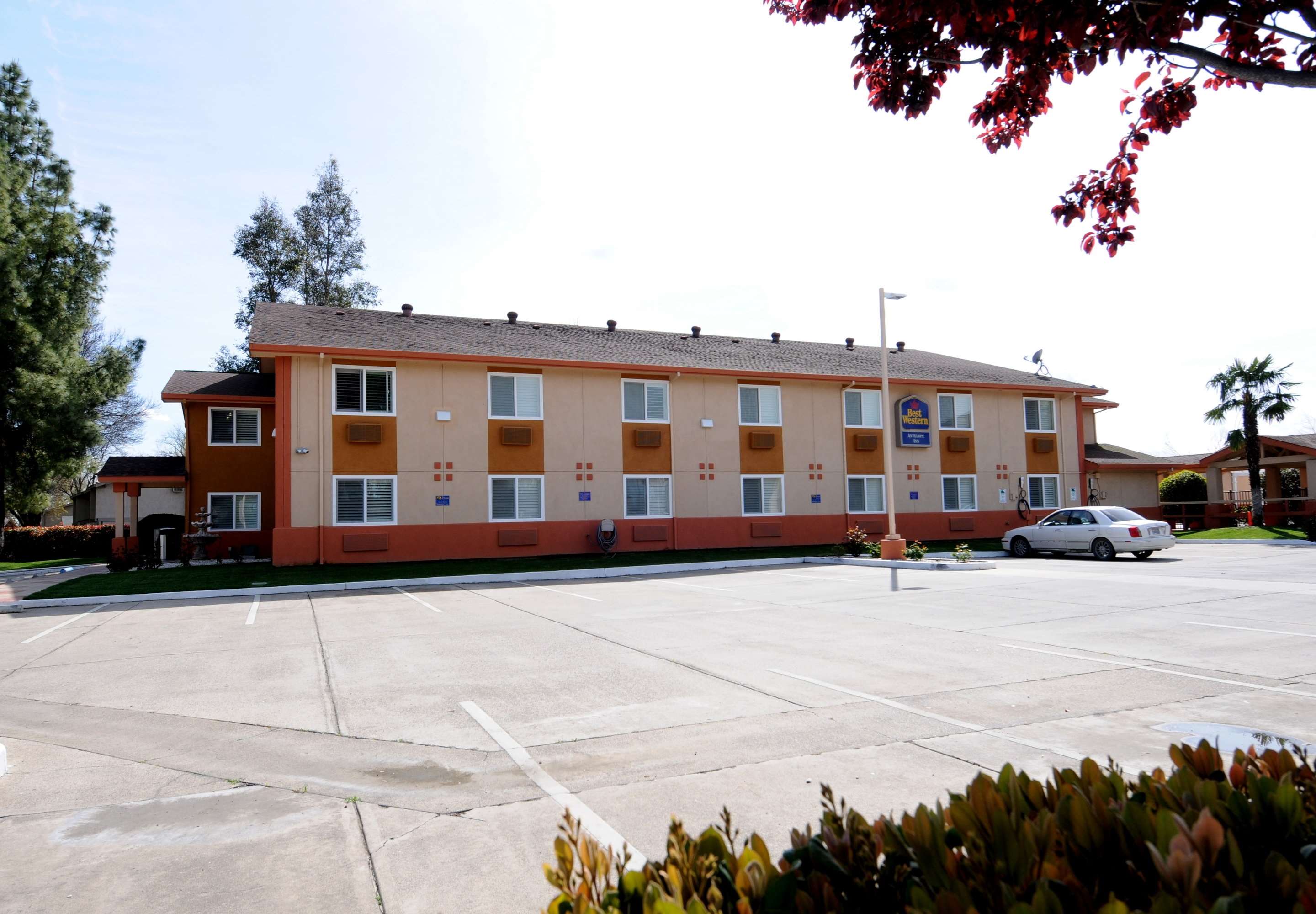 Best Western Antelope Inn & Suites