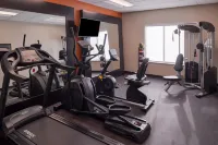 Holiday Inn Express & Suites EFFINGHAM by IHG - Kuntosalit