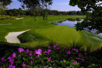 ホテル周辺 ハイアット リージェンシー グランド サイプレス リゾートの写真