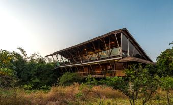 a modern , wooden house with a flat roof is situated in a grassy area surrounded by trees at The Machan