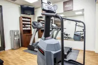 Comfort Suites Near Route 66 - salle de sport