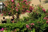 Villa Dafne -  Casas de vacaciones