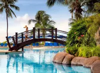 Hilton Barbados Resort - Pemandangan Pantai