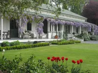 The Peppertree Luxury Accommodation Hotel a 