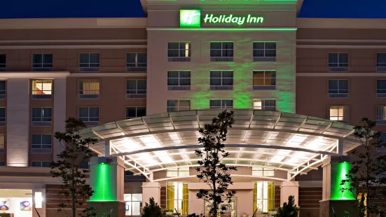 Holiday Inn DFW Airport South