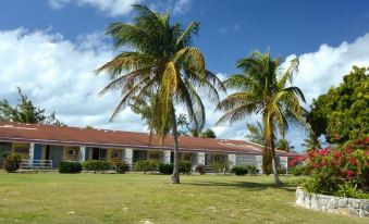 a grassy field with two palm trees and a building in the background , creating a picturesque scene at Anegada Reef Hotel