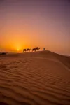Al Maha, a Luxury Collection Desert Resort & Spa, Dubai - Gym