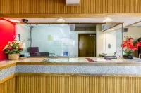 이코노 로지 - 코니어스