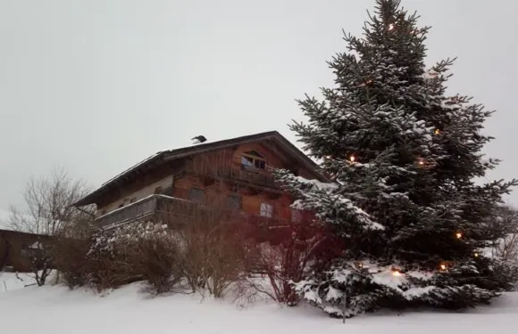 菲林伊麗莎白公寓