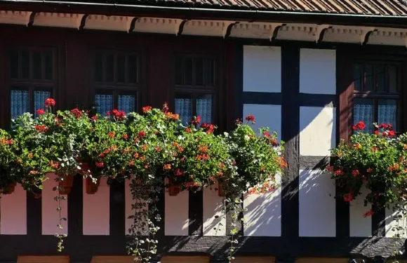 蘭德豪斯馬霍爾德旅館