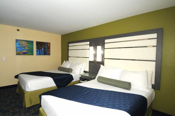 Best Western Antelope Inn & Suites