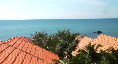 프리 비치 리조트