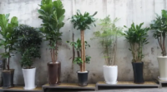 ホテル デヨン ソウル