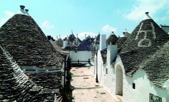 Trullidea