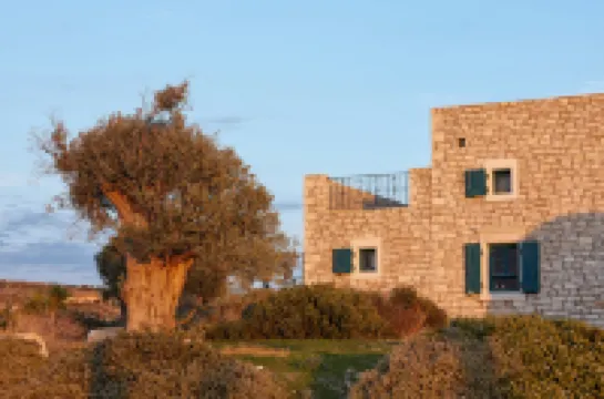 Orelia Cretan Villas - Private Pool